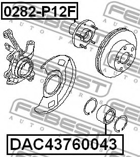 FEBEST DAC43760043 Wheel Bearing